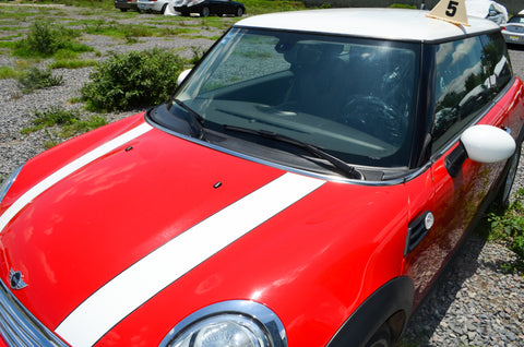 Mini Cooper Salt 2013